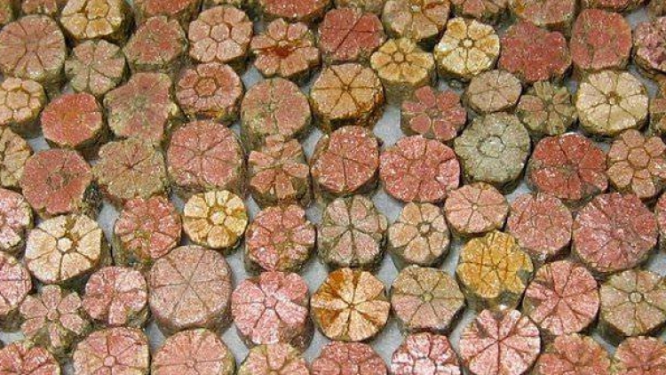 Batu-Langka-yang-Sangat-Dilindungi-di-Jepang Batu-Langka-yang-Sangat-Dilindungi-di-Jepang