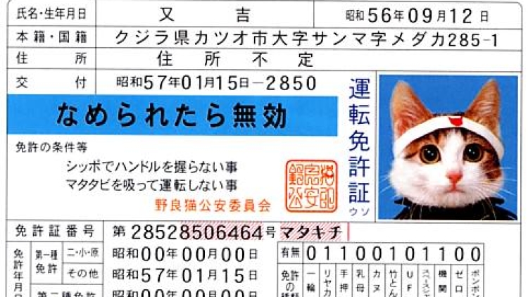 Classic Name-neko Cats