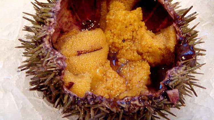 Di Jepang, Bulu Babi Dimakan