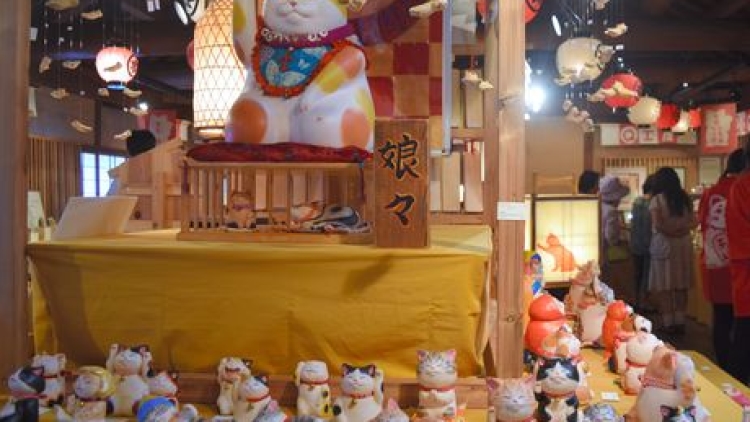 Good luck cats grace Ise Jingu in 'search' for owners Good luck cats grace Ise Jingu in 'search' for owners