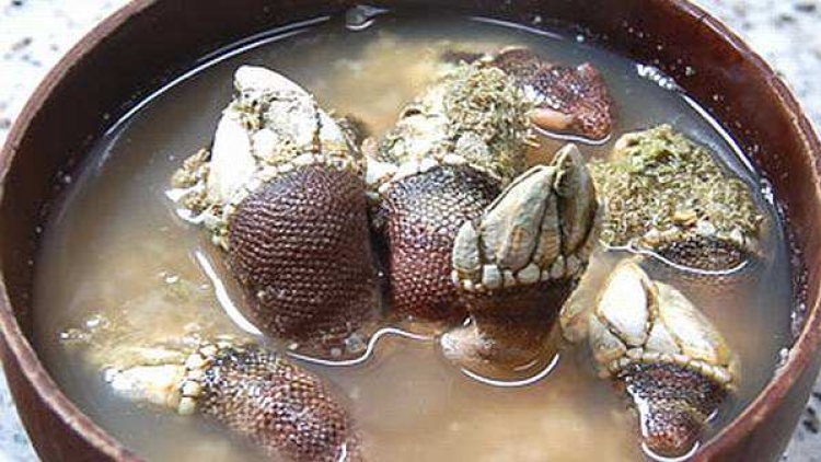 Seafood Tak Lazim di Jepang Laris Diburu