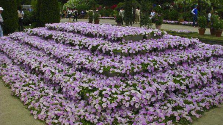 ashikaga park ashikaga park