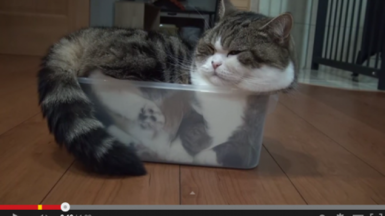 7c screen-shot-2014-10-22-at-4-27-24-pm