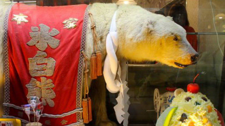 Es Serut Beruang Kutub Favorit Warga Jepang