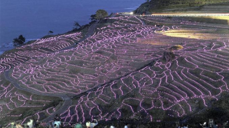 lahan-persawahan-beras-senmaida-diterangi-dengan-lampu-led