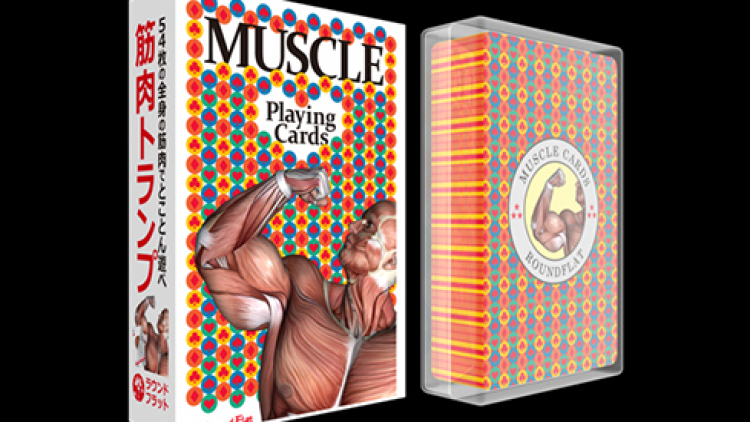 muscle cards (1) muscle cards (1)