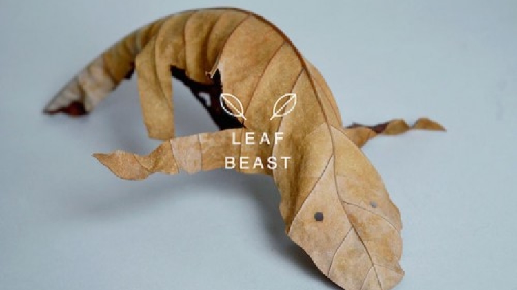 2c leaf-beast-magnolia-obovata-natural-art-baku-maeda-4 2c leaf-beast-magnolia-obovata-natural-art-baku-maeda-4