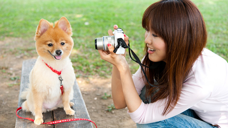 Berlibur dengan anjing peliharaan menjadi tren yang berkembang di Jepang