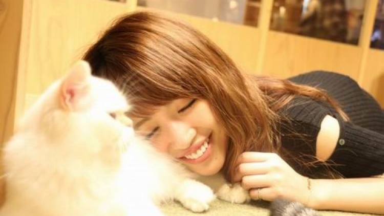 Cat Cafe MoCHA, tempat bersantai untuk para pecinta kucing di Ikebukuro! (5)