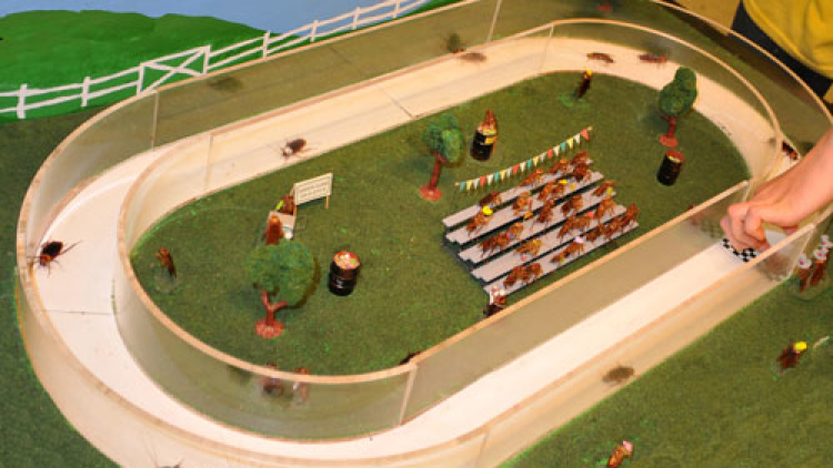 Kebun binatang di Jepang sediakan Taman Kecoa untuk bermain dengan para penggemarnya (2)