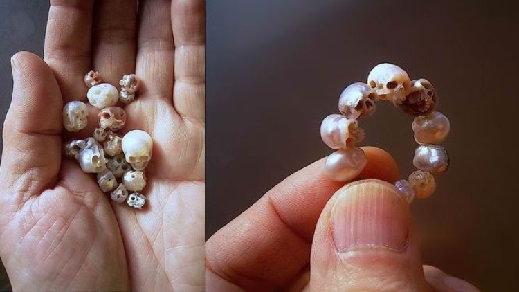 Keren! Seniman Jepang mengukir mutiara menjadi perhiasan bermotif tengkorak!