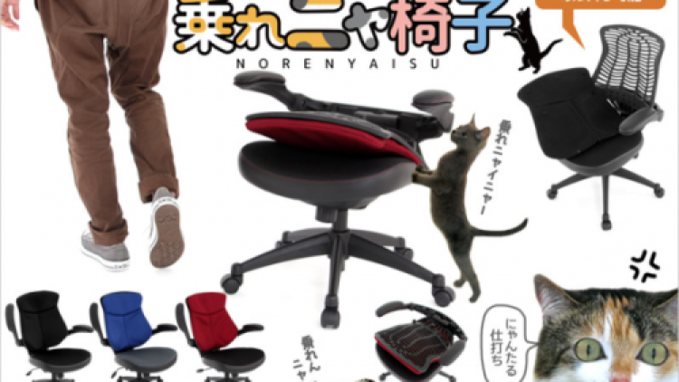 Norenya Isu Kursi Anti Kucing