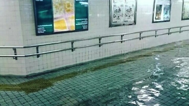 Kolam Renang? Bukan, Ini Air Banjir di Jepang featured copy