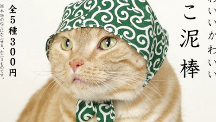 版下テンプレ