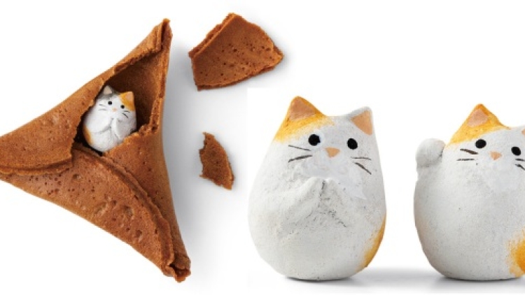 Fortune Cookie Kucing featured Fortune Cookie Kucing featured