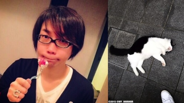 Junichi Suwabe Seiyuu Kucing ftrd Junichi Suwabe Seiyuu Kucing ftrd