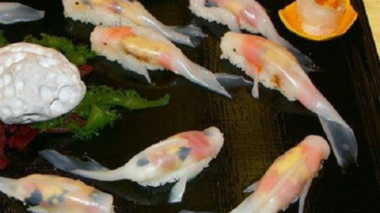 Sushi Koi Nigiri Sushi Koi Nigiri
