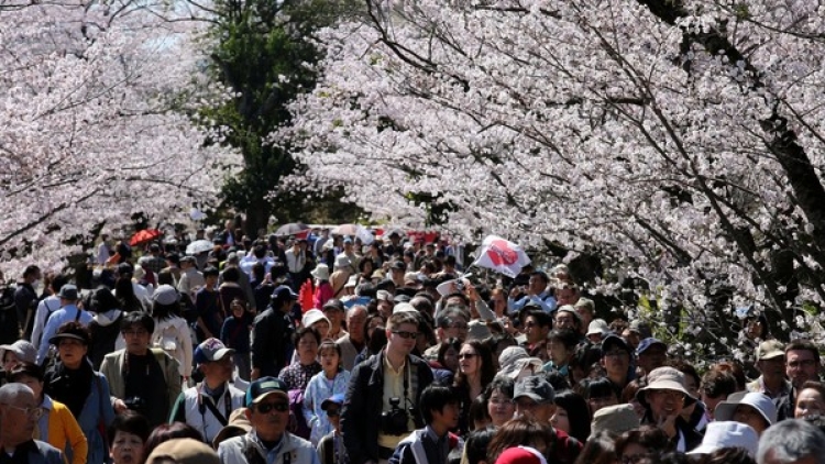 Jepang akan mengincar jumlah 20 juta wisatawan asing sebelum tahun 2020