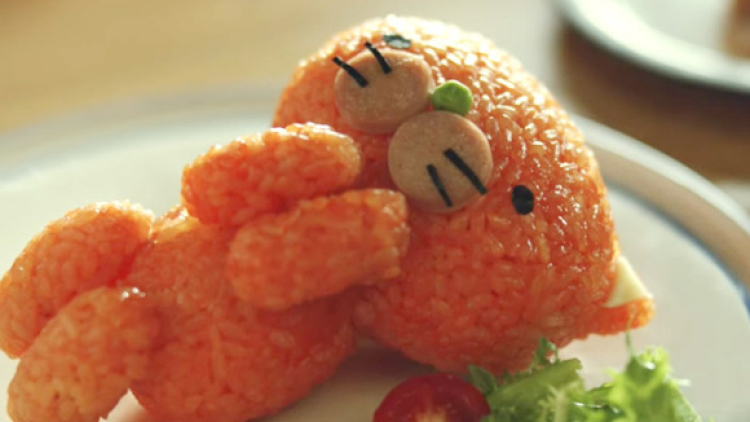 Kucing Nasi Kedinginan Selimut Omelette Kucing Nasi Kedinginan Selimut Omelette