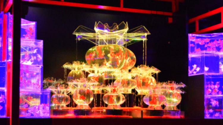 Seni Akuarium Nijo Castle Kyoto