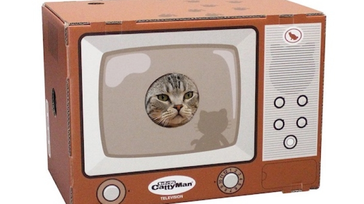 Boks Mainan ini Akan Membuat Kucingmu Masuk TV CattyMan Cat Television Scratch Box