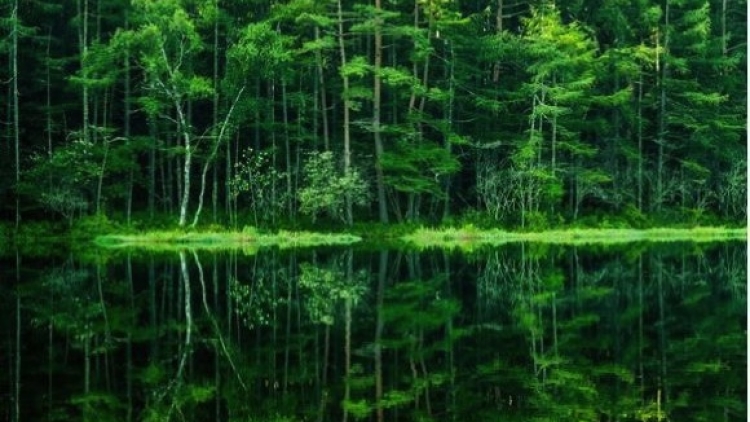 Mishaka Pond copy Mishaka Pond copy