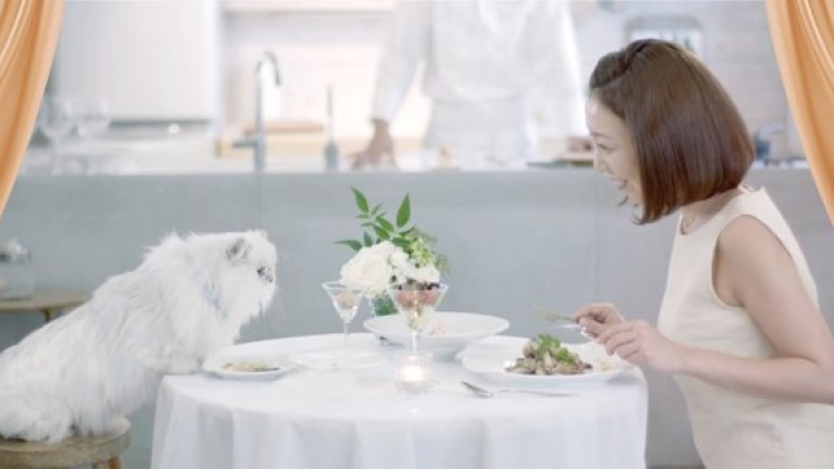 MonPetit Nestle Koki Datang ke Rumah Masak untuk Kalian dan Kucing Kalian