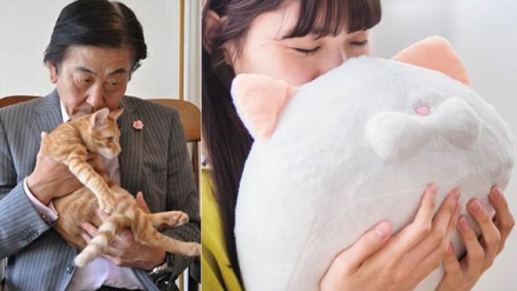 Perusahaan parfum Jepang ciptakan spray dengan wangi seperti wangi kepala kucing