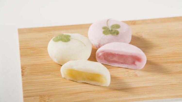 Daifuku Keberuntungan Four Leaf Clover Semanggi Berdaun Empat Suehiroan