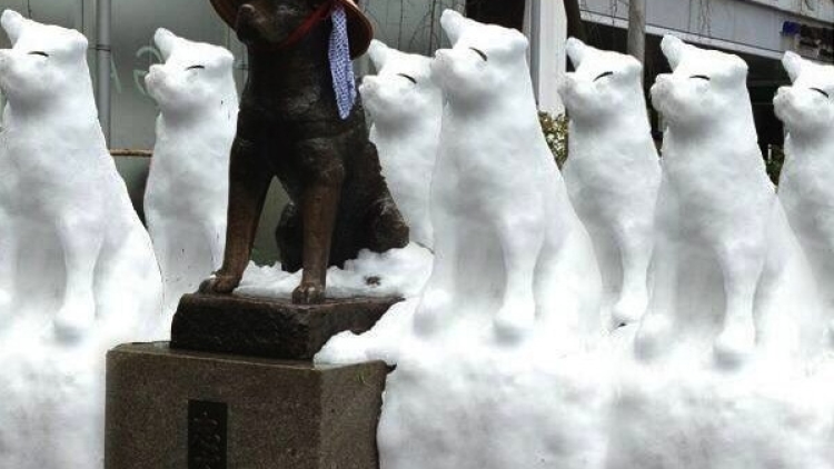 'Kegilaan' Apa Saja yang Baru Terjadi Saat Tokyo Dilanda Salju Lebat Kemarin Pagi Hachiko - May_I_bite copy