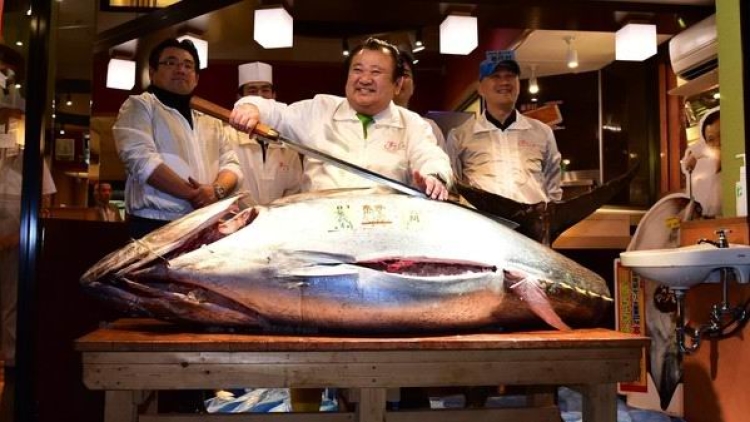 Wow! Ikan tuna dari Jepang ini terjual seharga 14 juta yen!