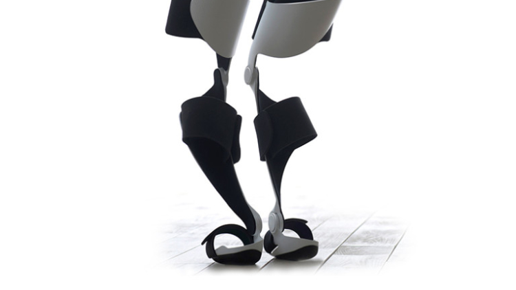 Archelis1-768x510 (1) Archelis1-768x510 (1)