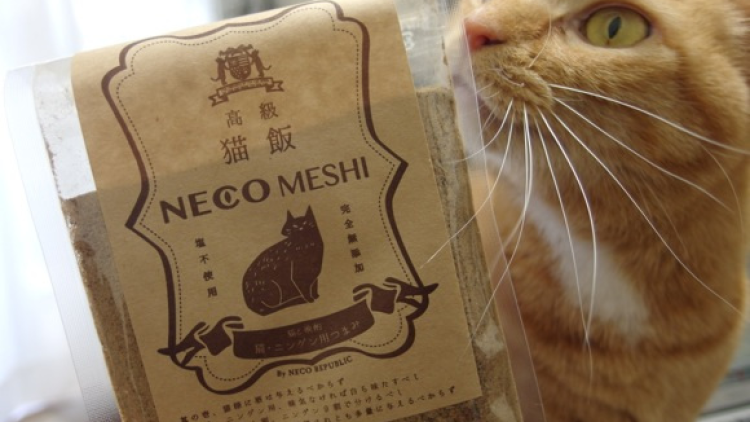 Neco Meshi, Kudapan yang Dapat Dinikmati Bersama Kucing Peliharaan