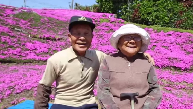 flowershed flowershed