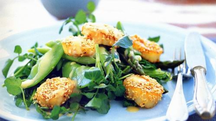 Resep Scallop Salad Dengan Saus Miso Khas Jepang Resep Scallop Salad Dengan Saus Miso Khas Jepang