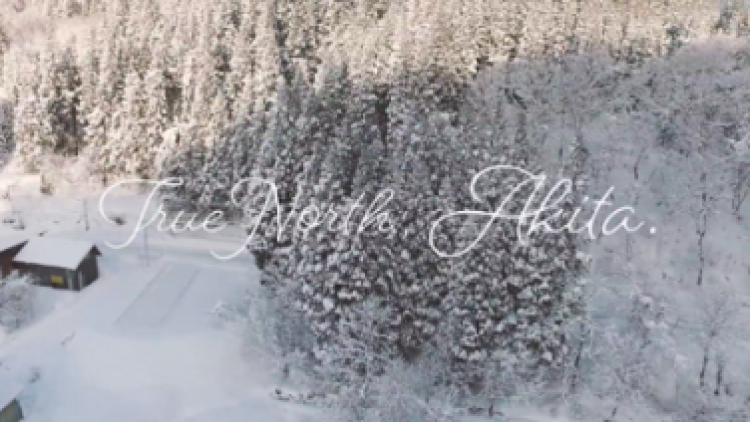 Potret Menakjubkan Hangatnya Musim Salju di Akita 1