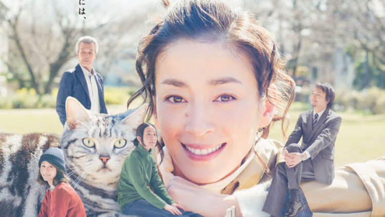 Rie Miyazawa, Haru Kuroki & Atsuko Maeda Bintangi Drama Gou Gou The Cat 2 (2) Rie Miyazawa, Haru Kuroki & Atsuko Maeda Bintangi Drama Gou Gou The Cat 2 (2)