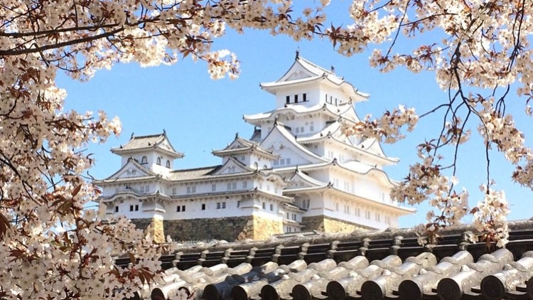 5_kastil_jepang_yang_cocok_untuk_foto_instagram_setiap_musim_1 5_kastil_jepang_yang_cocok_untuk_foto_instagram_setiap_musim_1