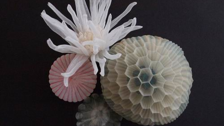 Seniman Jepang Ciptakan Hiasan Bertema Laut Dari Kain Tembus Pandang (5)