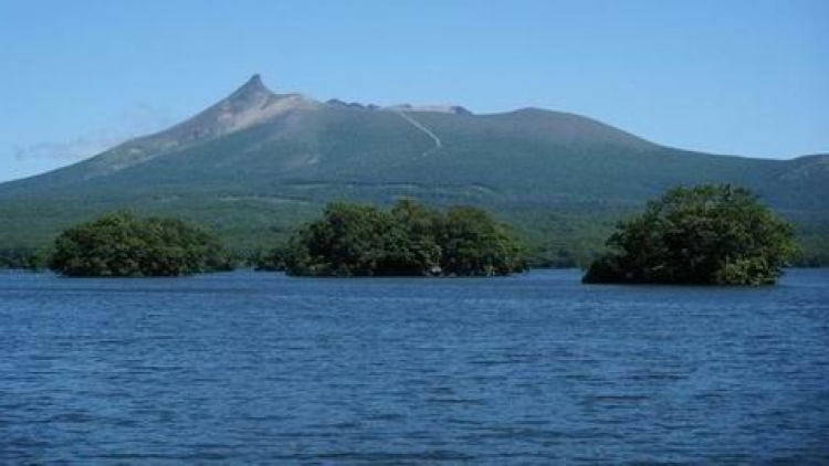 Tidak Menuruti Orangtua, Seorang Anak di Jepang Ditinggalkan di Hutan Tidak Menuruti Orangtua, Seorang Anak di Jepang Ditinggalkan di Hutan