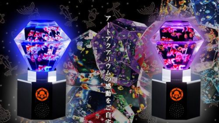 Akuarium Jepang Super Cantik Kini Tersedia Dalam Bentuk Mini (1) Akuarium Jepang Super Cantik Kini Tersedia Dalam Bentuk Mini (1)
