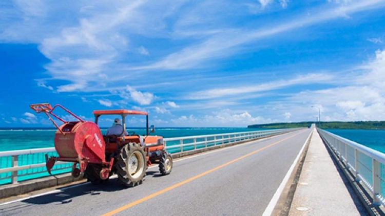 Jembatan di Okinawa Jembatan di Okinawa
