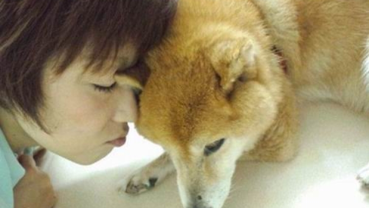 Wah, Di Jepang Ada Panti Jompo Untuk Anjing Peliharaan!