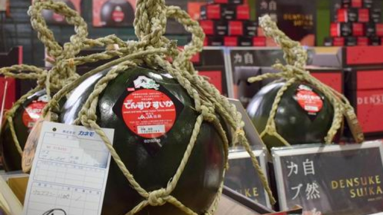 Wow! Semangka Hitam Jepang Ini Dilelang Seharga 500.000 Yen!2 Wow! Semangka Hitam Jepang Ini Dilelang Seharga 500.000 Yen!2