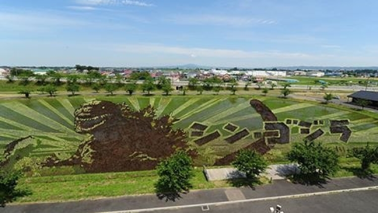 Seni Melukis Sawah Jepang Tahun Ini Bertema Samurai & Godzilla (1)
