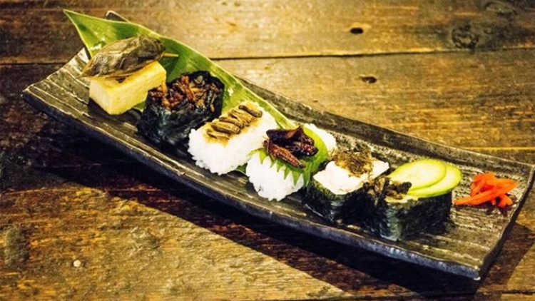 Sushi Serangga Hadir di Festival Kuliner Serangga di Izakaya Jepang (1) Sushi Serangga Hadir di Festival Kuliner Serangga di Izakaya Jepang (1)