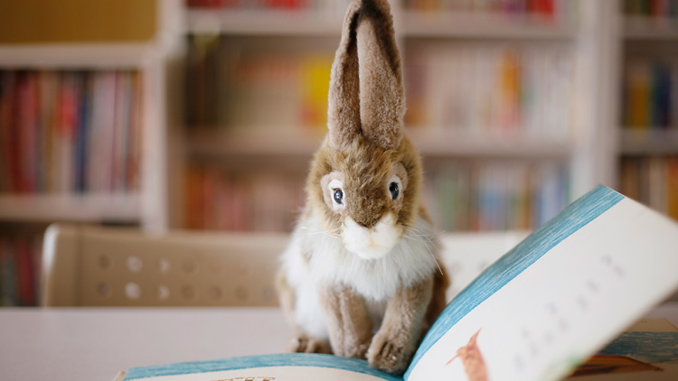 Tutorial Memotret Nuidori, Fotografi Mainan Menggemaskan dengan Gaya Fantasi 0