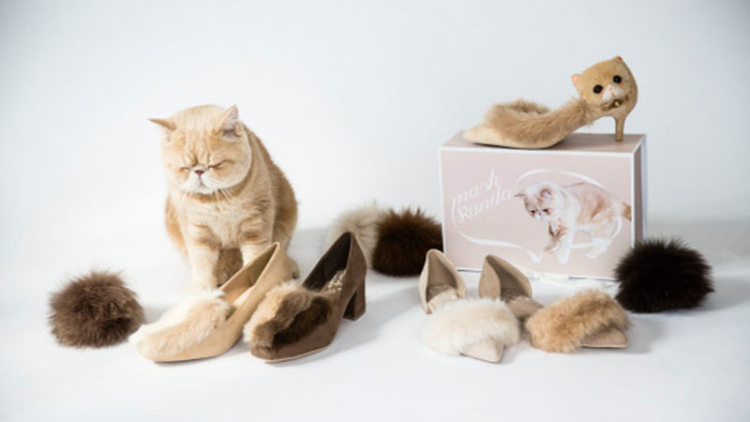 Koleksi Sepatu Lucu Terinspirasi dari Kucing Jepang yang Populer 