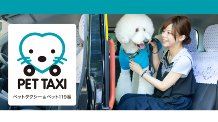layanan-taksi-jepang-ini-manjakan-hewan-peliharaan