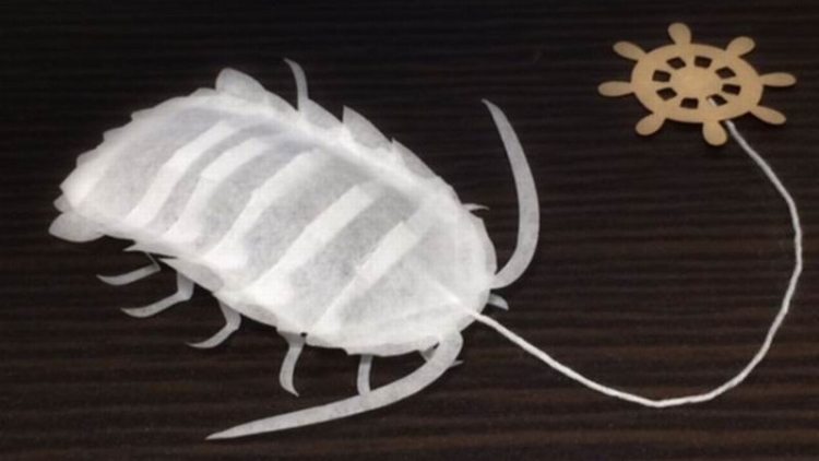 Unik, Ada Teh Celup Dari Jepang Berbentuk Isopoda Raksasa! (1)